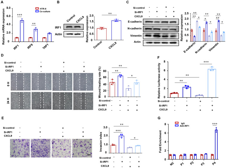 Figure 6