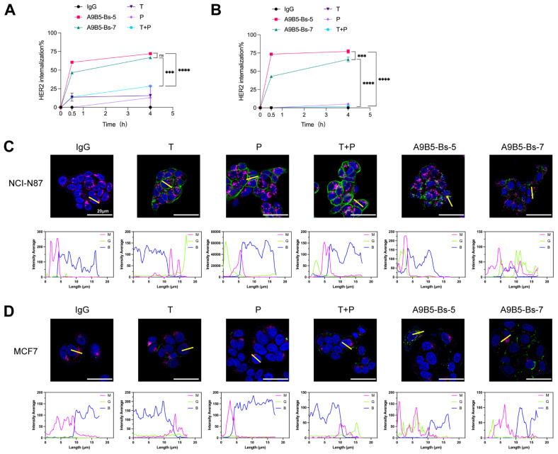 Figure 3