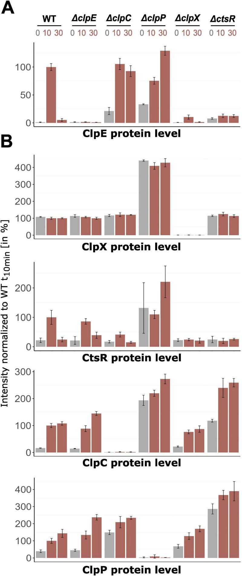 FIGURE 3