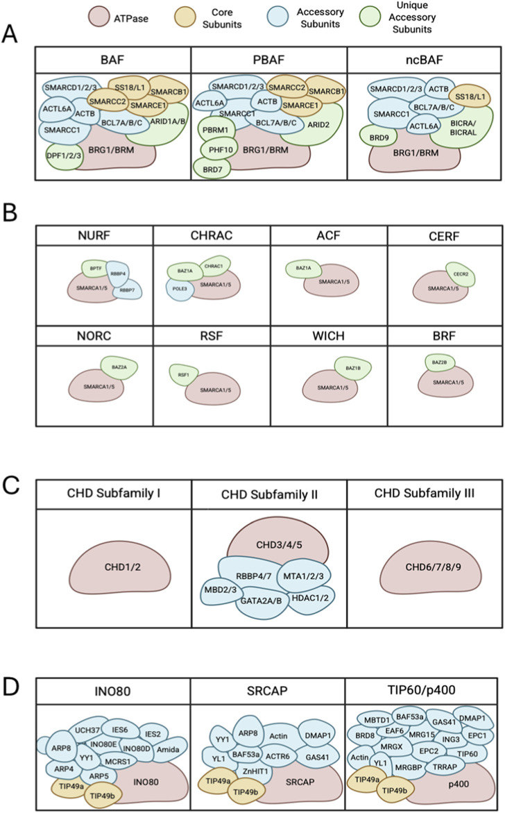 FIGURE 3