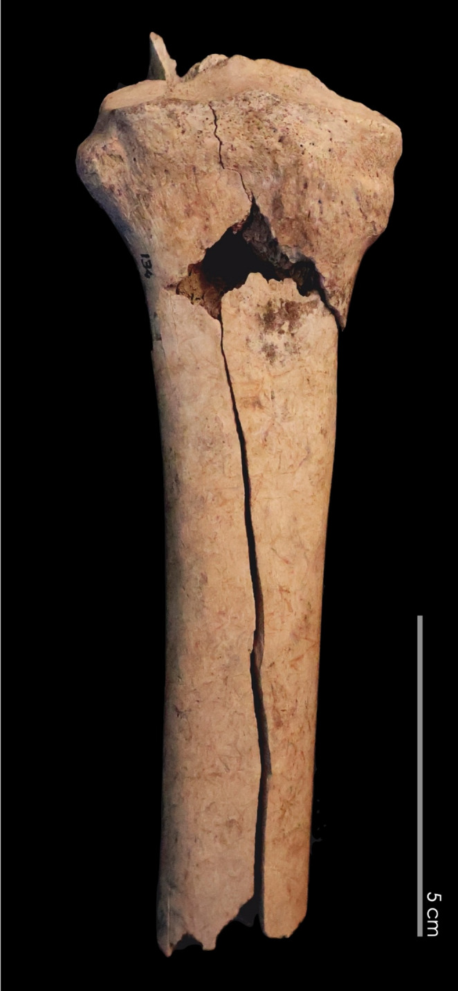 Figure 15