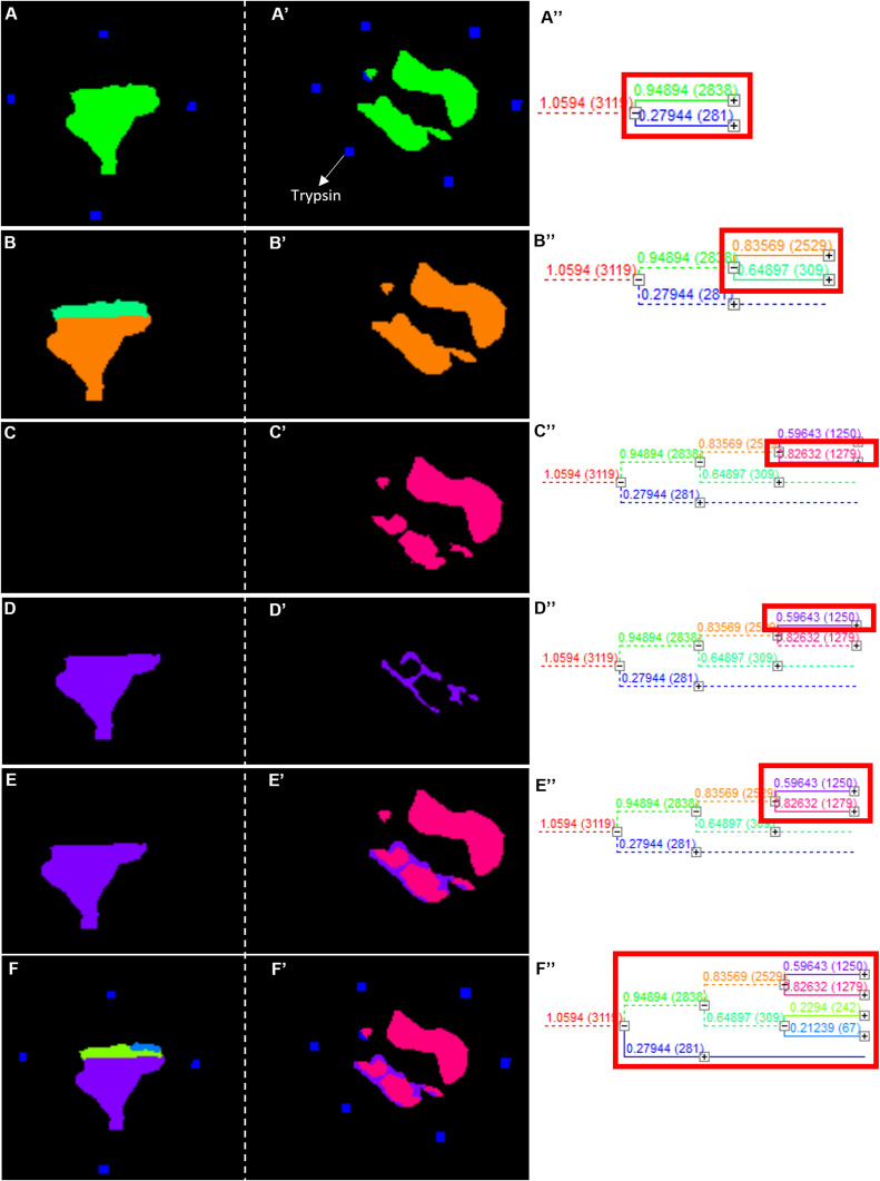 Figure S1