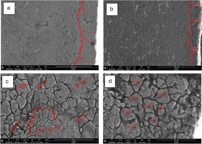 Figure 14