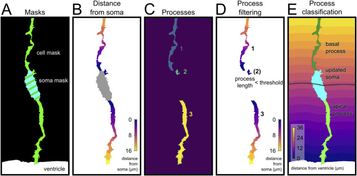 FIGURE 4