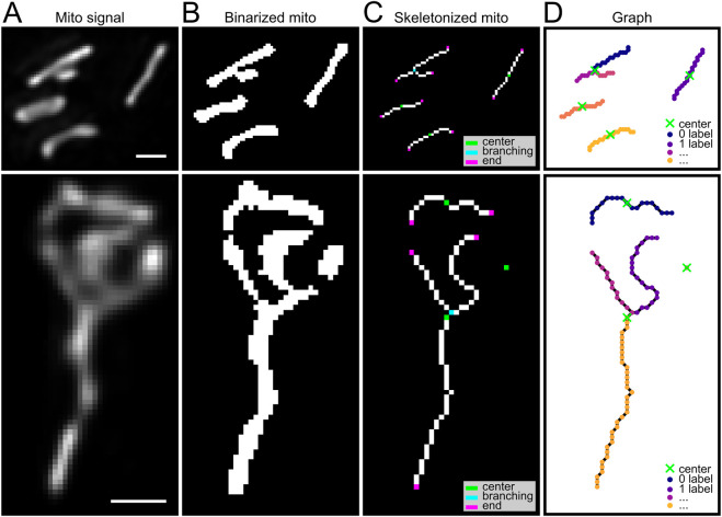 FIGURE 6