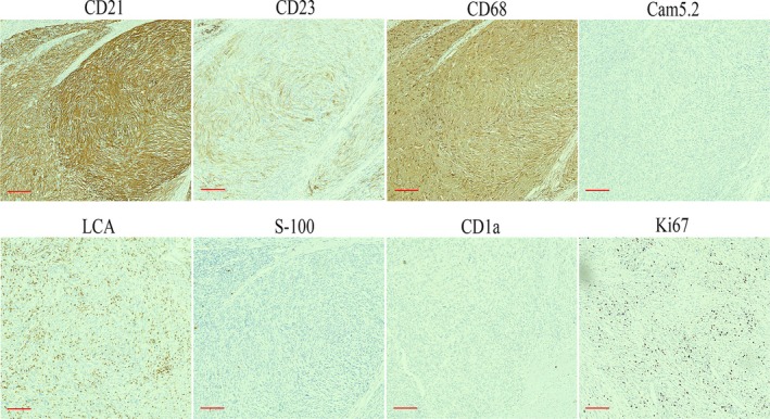 FIGURE 3