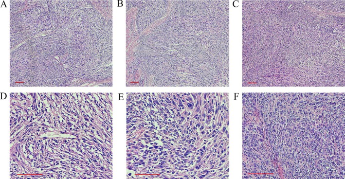 FIGURE 2