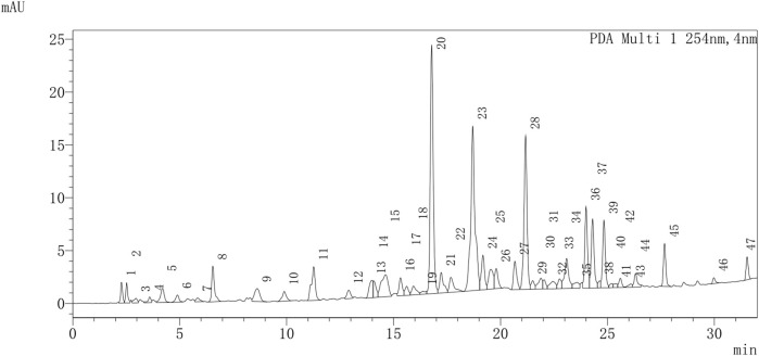 FIGURE 1