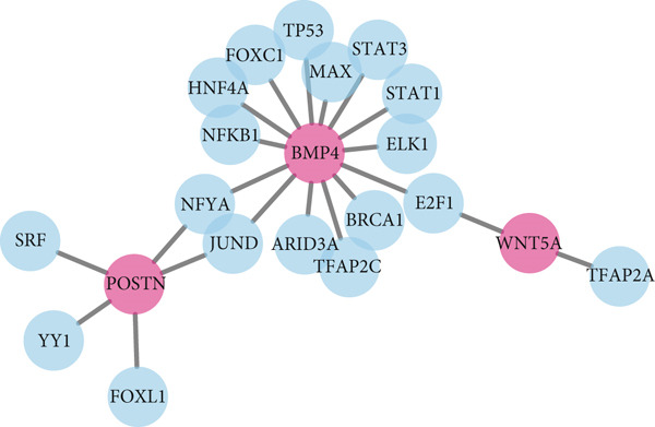 Figure 12