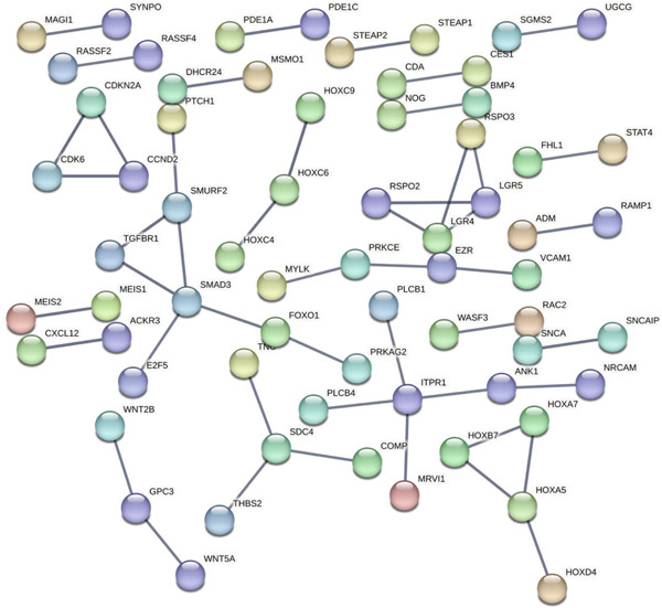 Figure 6
