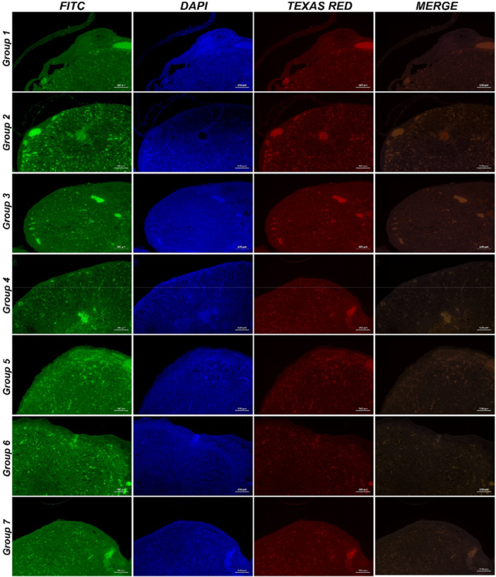 Figure 13