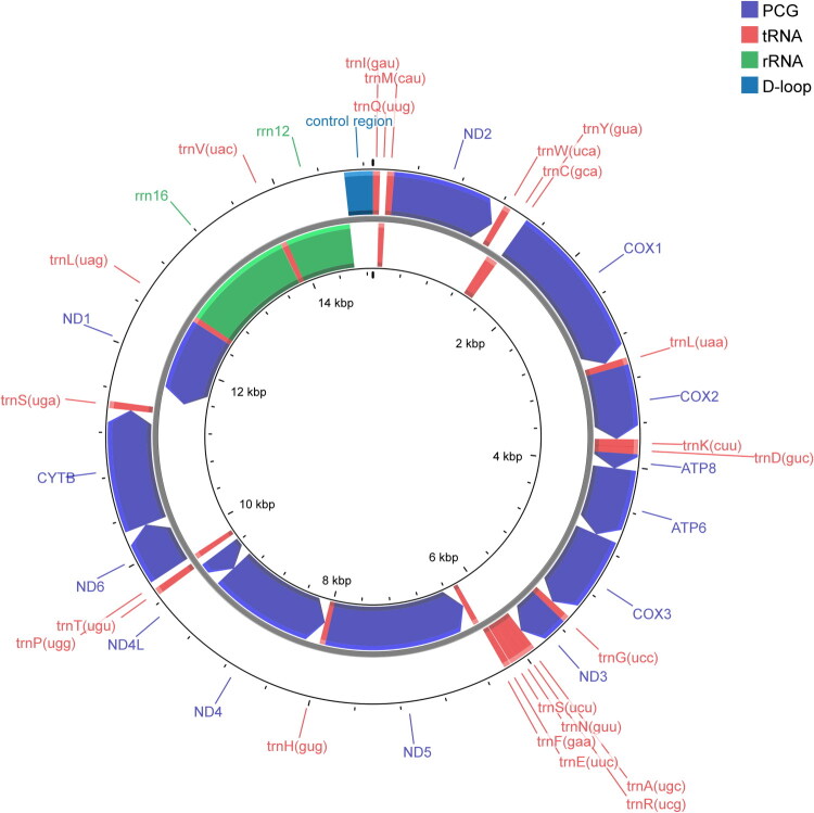 Figure 2