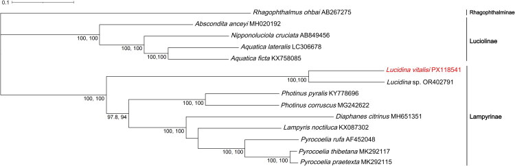 Figure 3