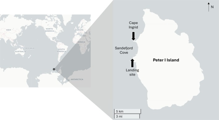 FIGURE 1