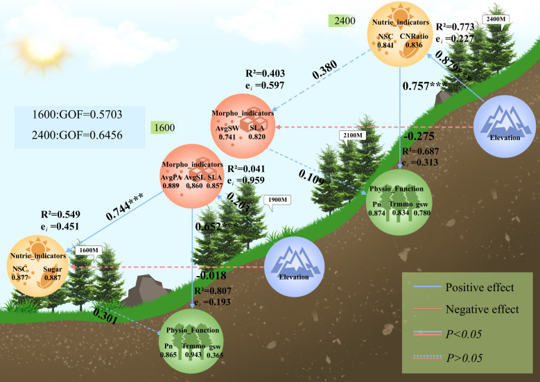 Figure 6