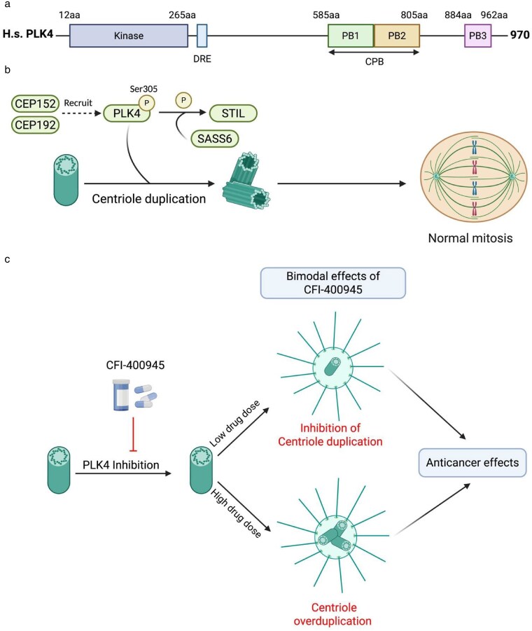 Figure 1