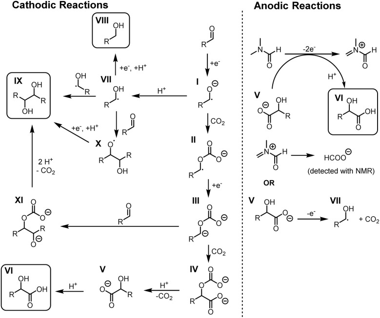 Scheme 3