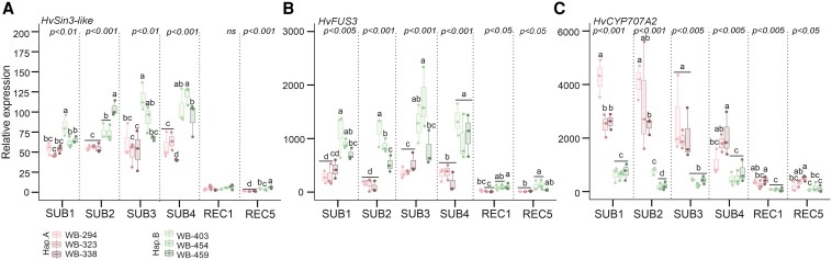 Figure 5
