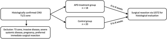 FIGURE 1