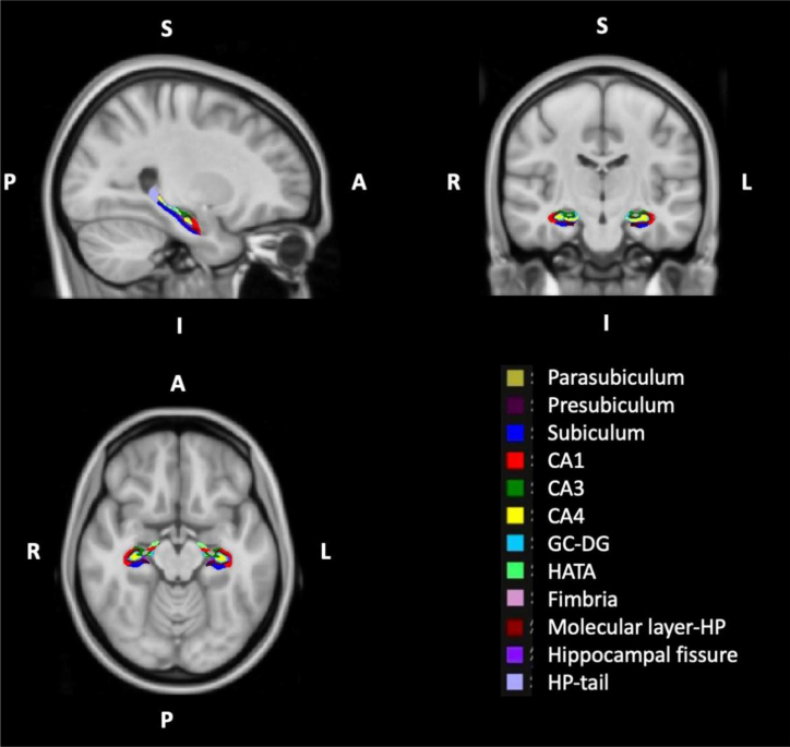 Figure 2