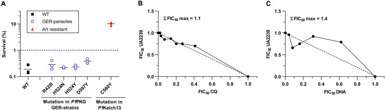 Fig. 5