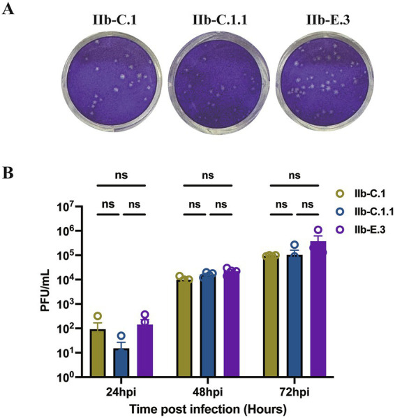 Figure 6