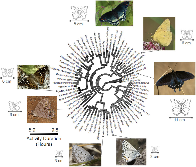 Fig 3