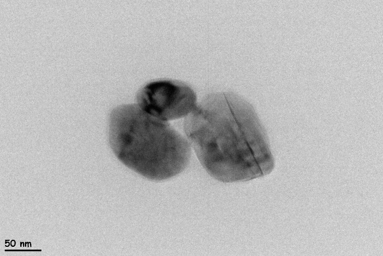 Fig 7