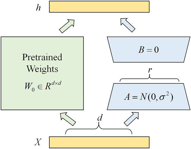 Fig 5