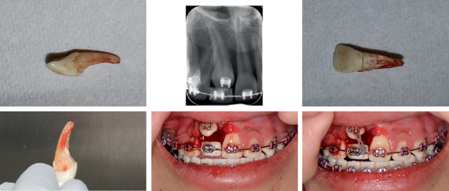 Figure 7