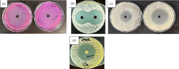 Figure 13