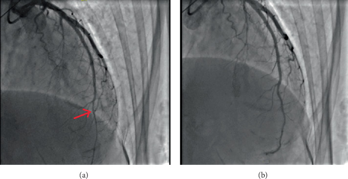 Figure 7