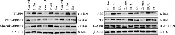 Figure 14