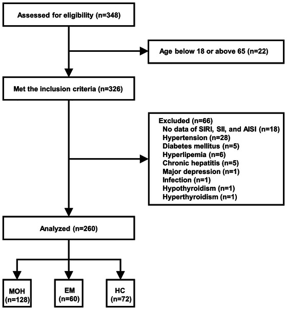FIGURE 1