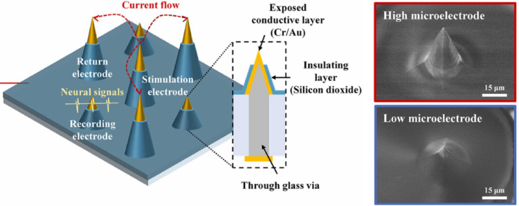 Figure 14