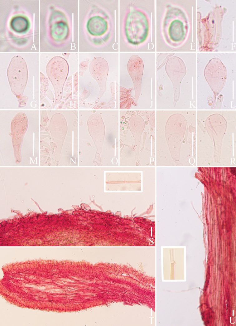 Figure 10