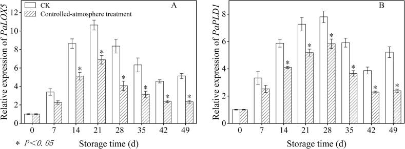 Figure 12
