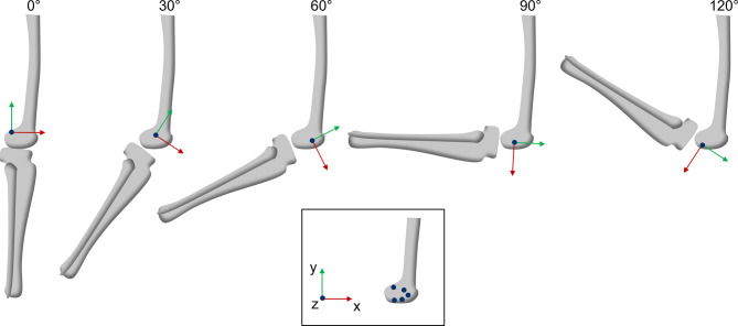 Figure 5