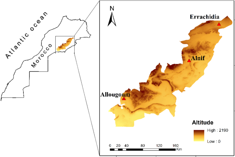 Figure 2