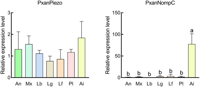 Fig. 9