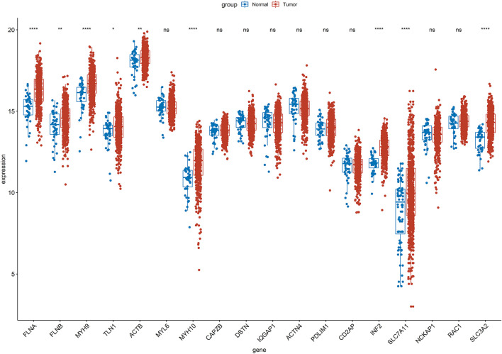 FIGURE 1