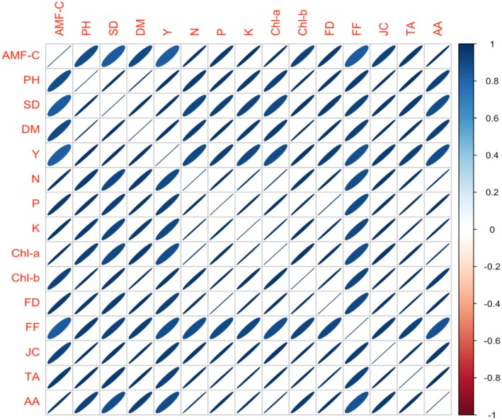 FIGURE 8