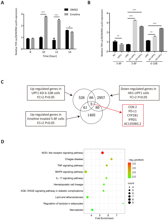 Figure 4