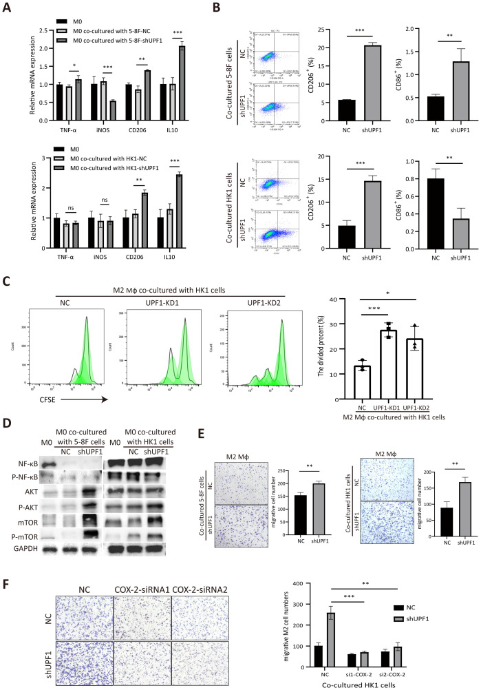 Figure 6