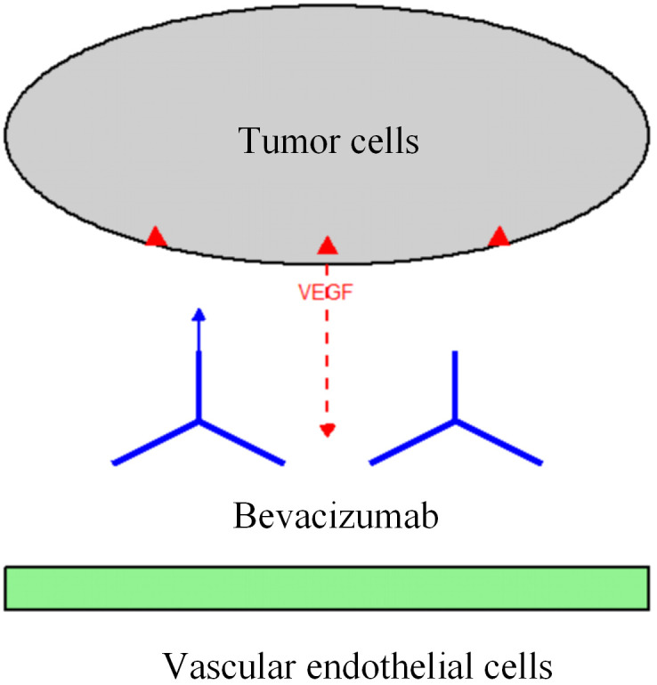 Figure 2