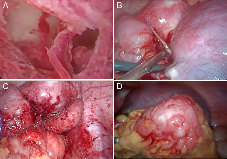 Figure 3