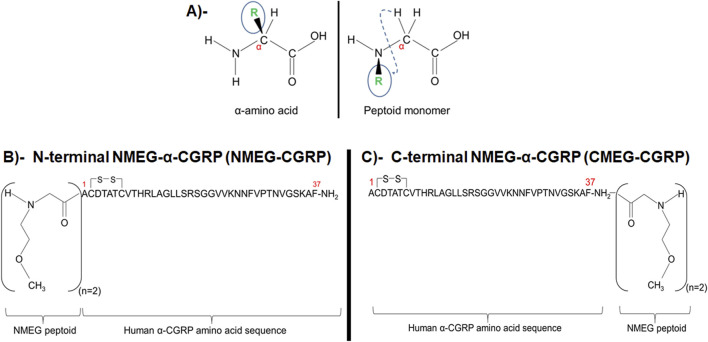 FIGURE 1