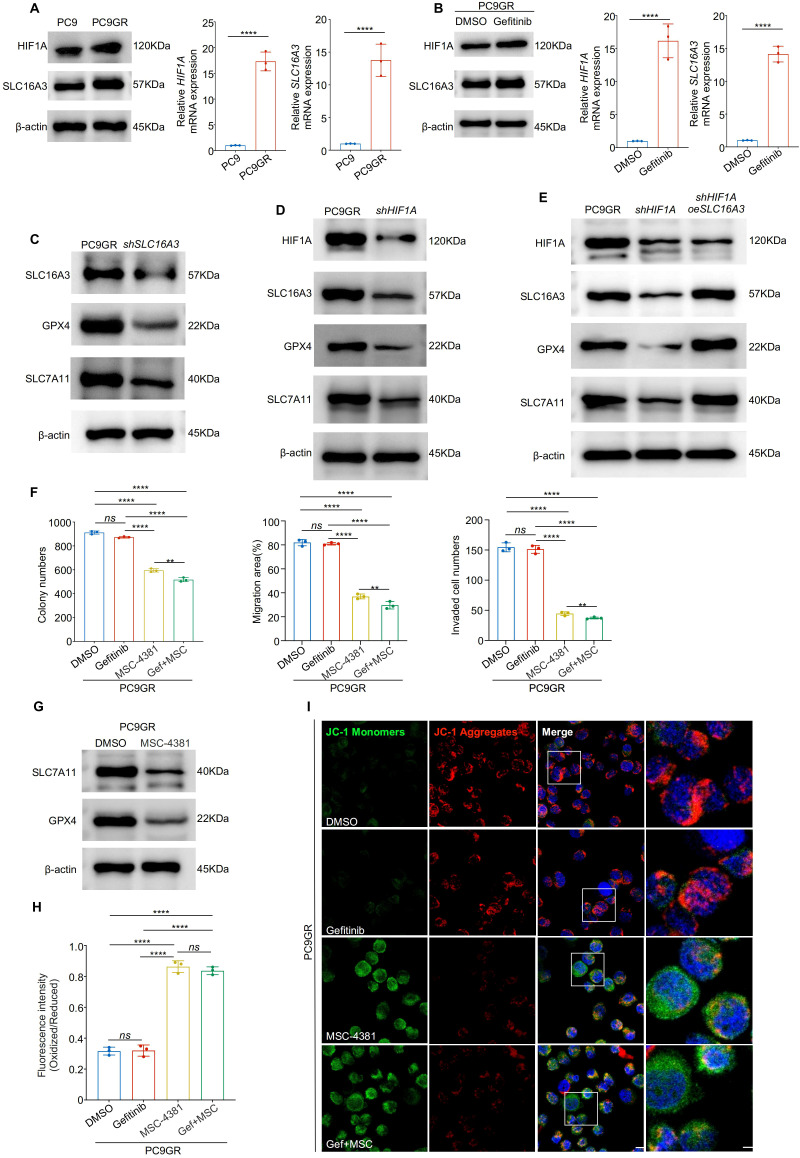 Figure 6