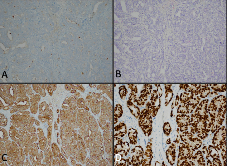 Figure 3