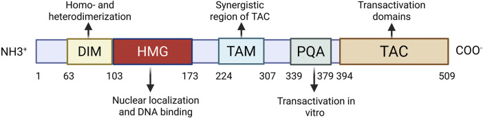 FIGURE 1